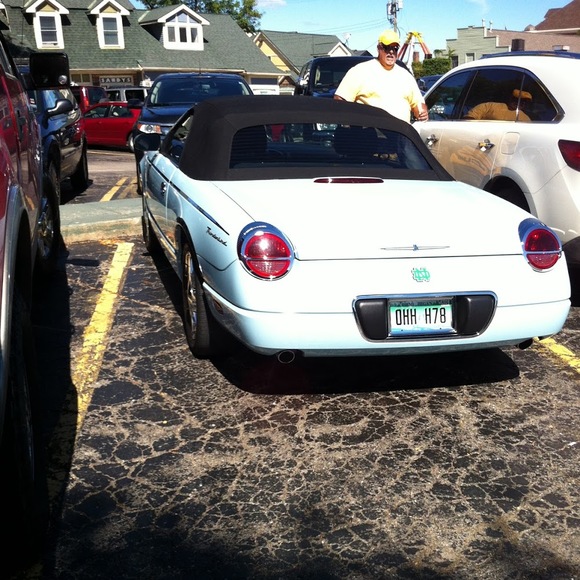 Meet your Posher, Ursula - Picture 1 of 1